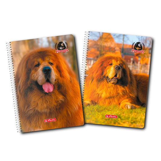 Caiet A4 70f Spira Patratele Boss Phantom