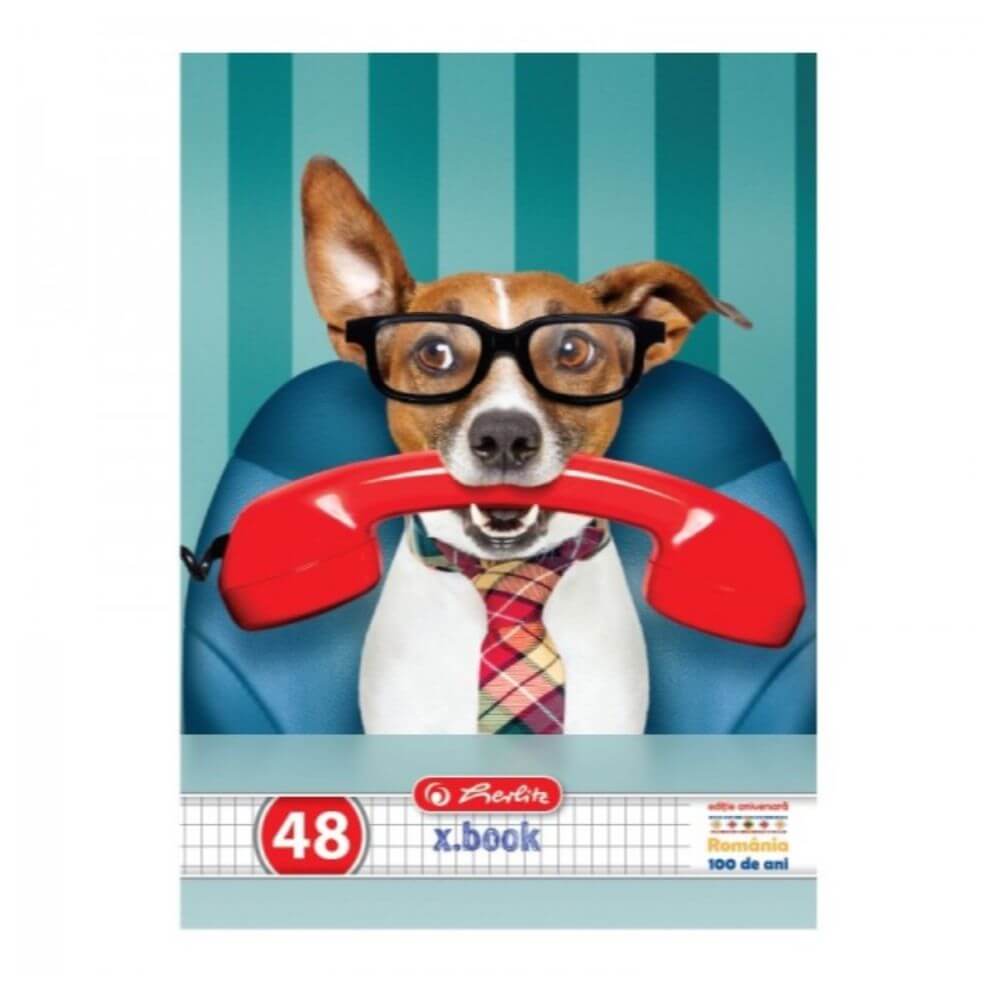 Caiet A5 48f Patratele Cool Dog
