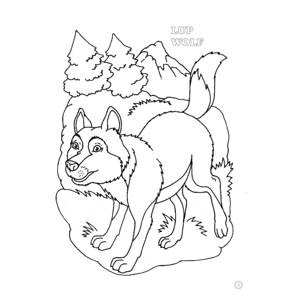 Desene Mari pentru Cei Mici, Animale Salbatice din Padure, Carte de Colorat B5