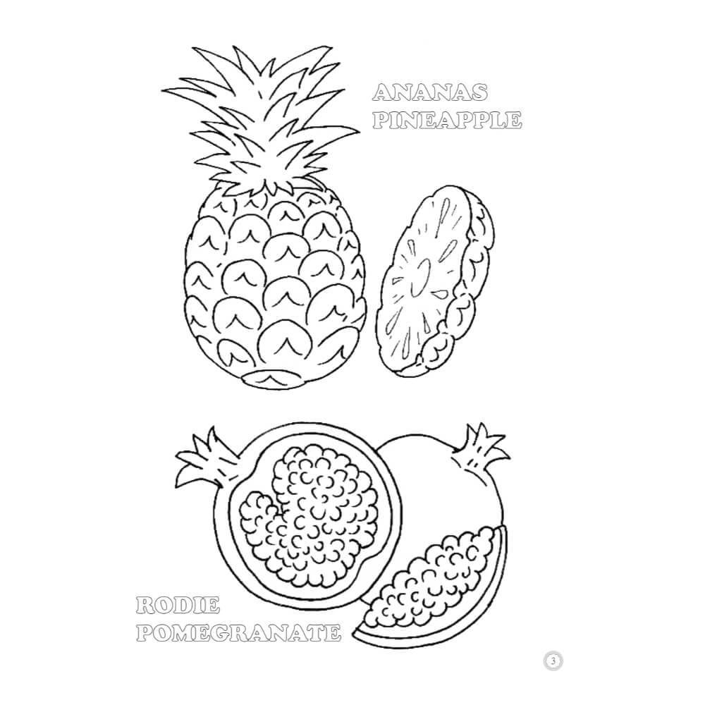 Desene Mari pentru Cei Mici, Fructe, Carte de Colorat B5