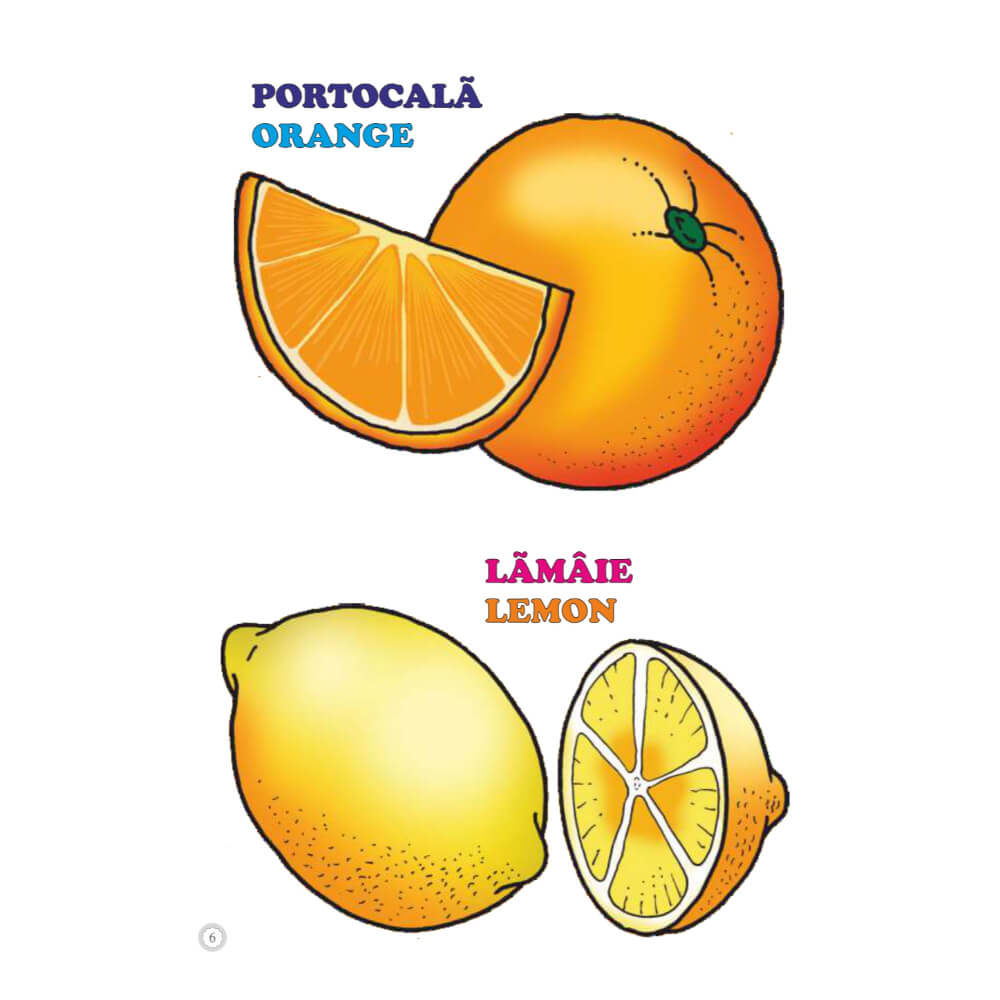 Desene Mari pentru Cei Mici, Fructe, Carte de Colorat B5