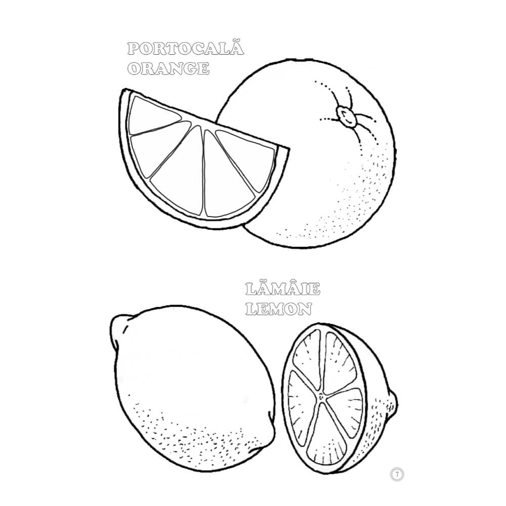 Desene Mari pentru Cei Mici, Fructe, Carte de Colorat B5