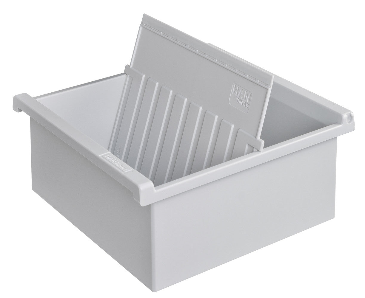 Fisier Liniar A6, Pentru 800 Fise Cartonate, Cu 1 Separator Cu Index, Han - Gri Deschis