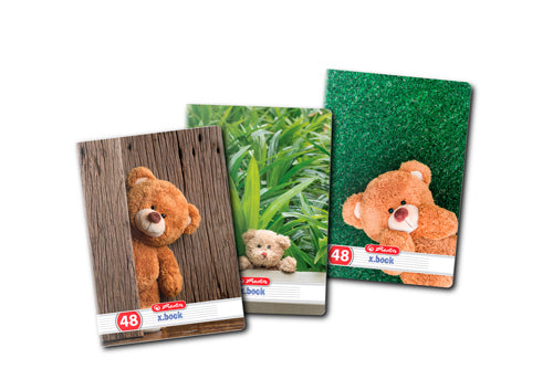 Caiet A5 48 File Dictando Teddy