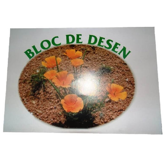 Bloc pentru Desen, Format A3, 16 File, 100 g/mÂ² - Caiet pentru Arte Plastice
