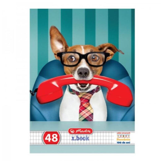 Caiet A5 48f Patratele Cool Dog