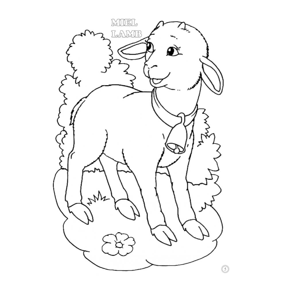 Desene Mari pentru Cei Mici, Animale Domestice Pui, Carte de Colorat B5