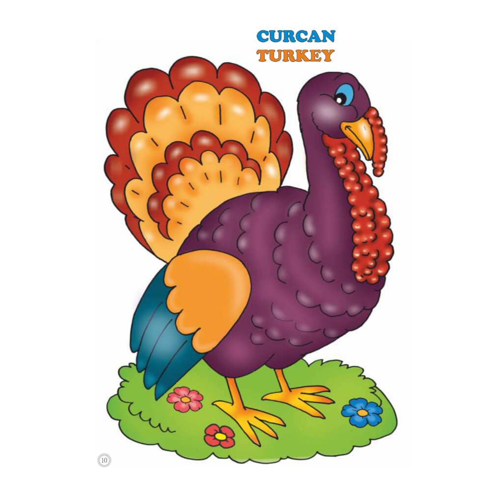 Desene Mari pentru Cei Mici, Animale Domestice, Carte de Colorat B5