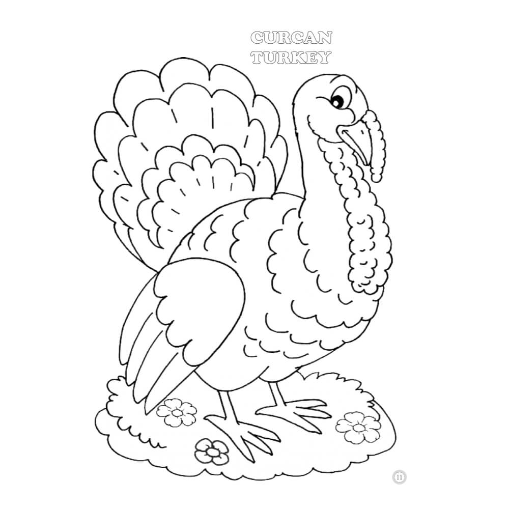 Desene Mari pentru Cei Mici, Animale Domestice, Carte de Colorat B5
