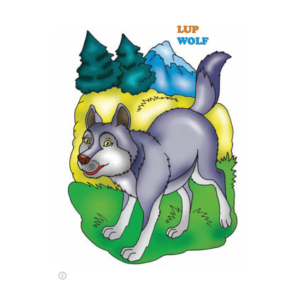 Desene Mari pentru Cei Mici, Animale Salbatice din Padure, Carte de Colorat B5