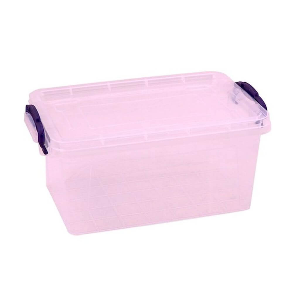 Cutie Depozitare cu Manere si Capac, Capacitate 3.5L, Culoare Transparent, Dimensiuni 24x16x11 cm