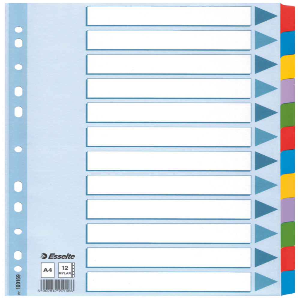 Separatoare Index Carton 12 Coli Mylar Esselte